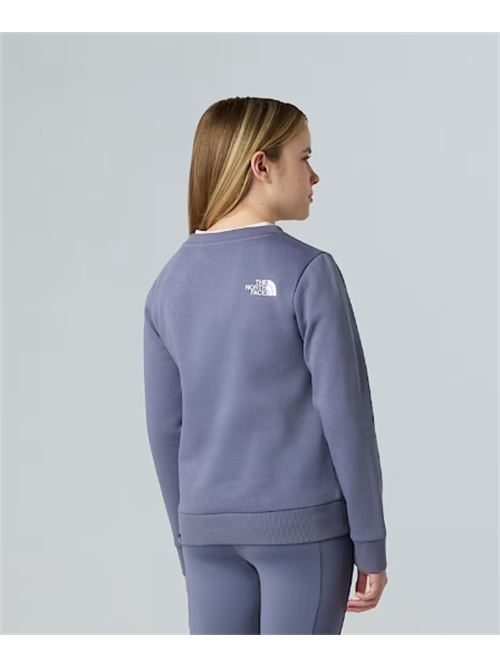 teen simple dome crew THE NORTH FACE | NF0A8AXYBTR1BTR